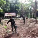 Tmmd Penanaman Pohon