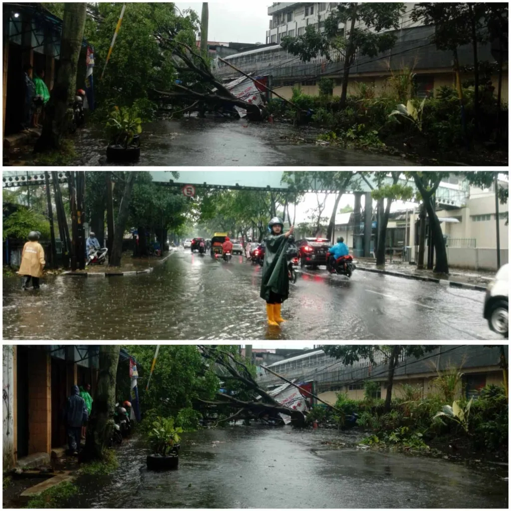 Penampakan dahan dan batang pohon besar yang tumbang di Jalan Dr. Djunjunan (Pasteur) Kota Bandung setelah diguyur hujan deras. Pohon tersebut menimpa trotoar dan sebagian jalur kendaraan